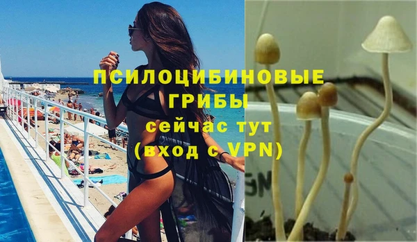 ECSTASY Беломорск