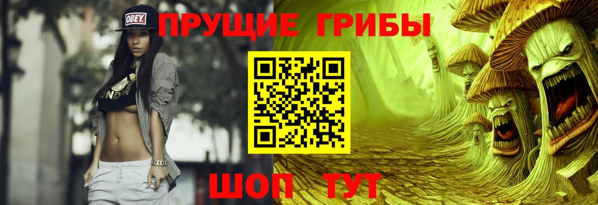Псилоцибиновые грибы ЛСД Северск